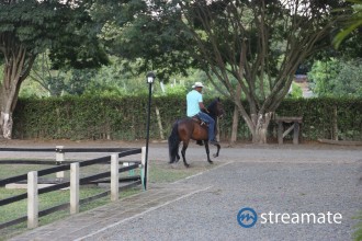 lalexpo20_streamate_bbw_087